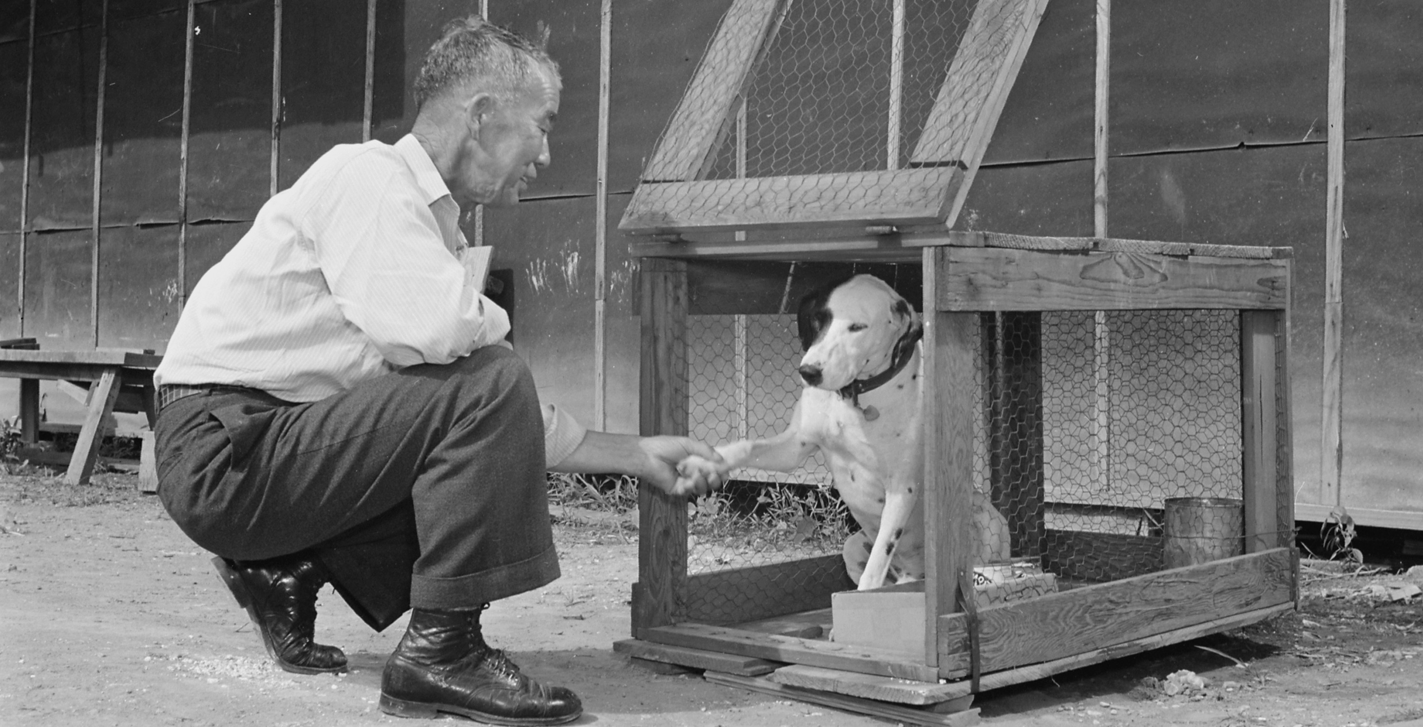 Henry Ishino, an evacuee resident of the Jerome Center, shakes hands with his dog, Major, after putting him in a crate for shipment to their new residence at the Gila River Center