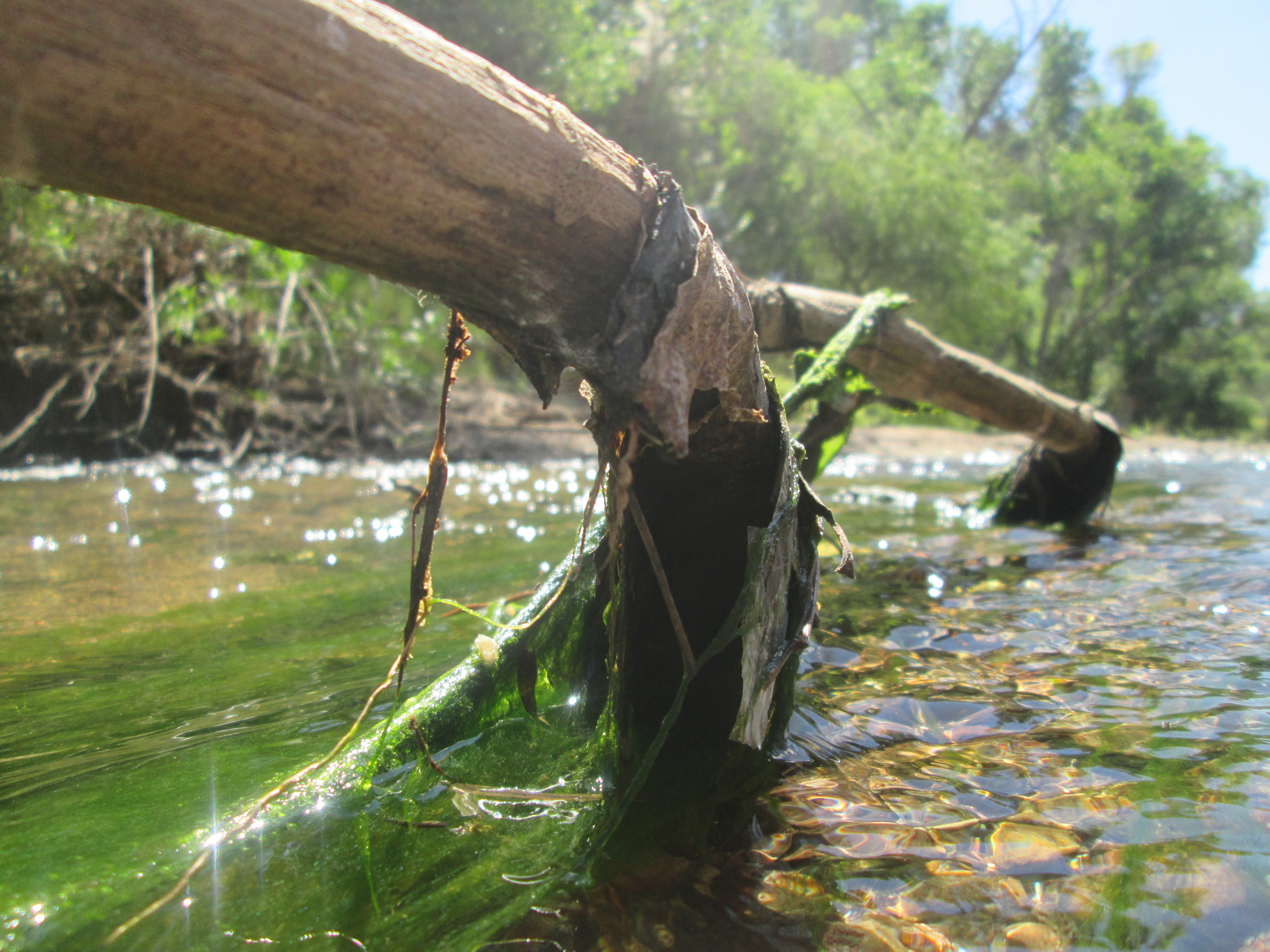 Water flowing forward with light shining through banks in the distance.