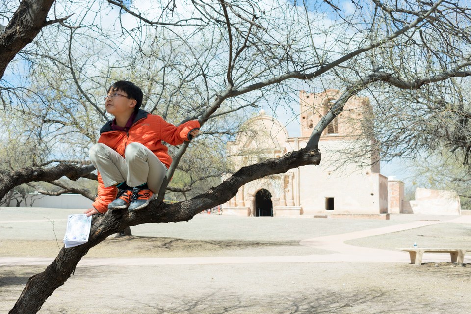 child in tree in front of church