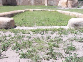 rectangular plastered outline in ground