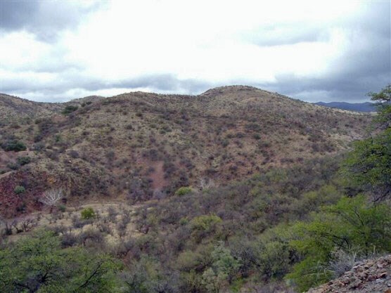 hilly landscape with canyon