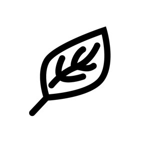 icon of leaf