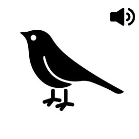 symbol of bird with audio icon