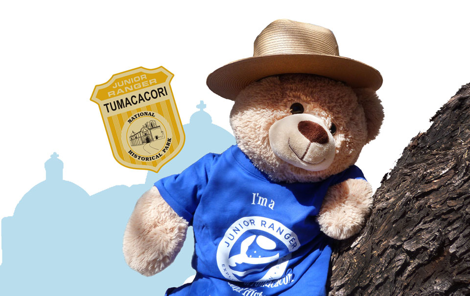 teddy bear in junior ranger hat and shirt