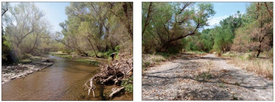 side-by-side photos of riverbed comparing dry and flowing states