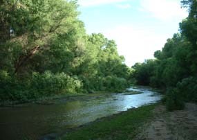 Santa Cruz River riparian environment Santa Cruz River riparian environment