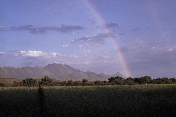 landscape landscape