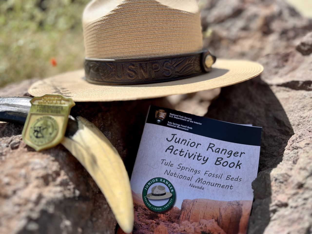 Junior Ranger - Tule Springs Fossil Beds National Monument (U.S.
