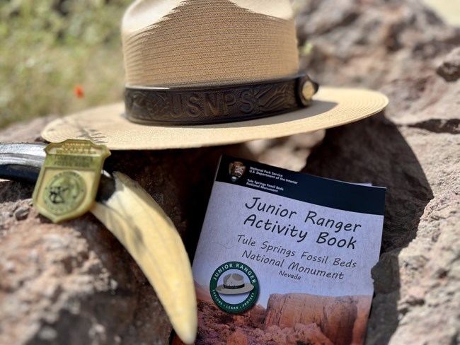 A ranger flat hat, junior ranger badge, sabertooth cat tooth, and the Tule Springs Fossil Beds Junior Ranger Book