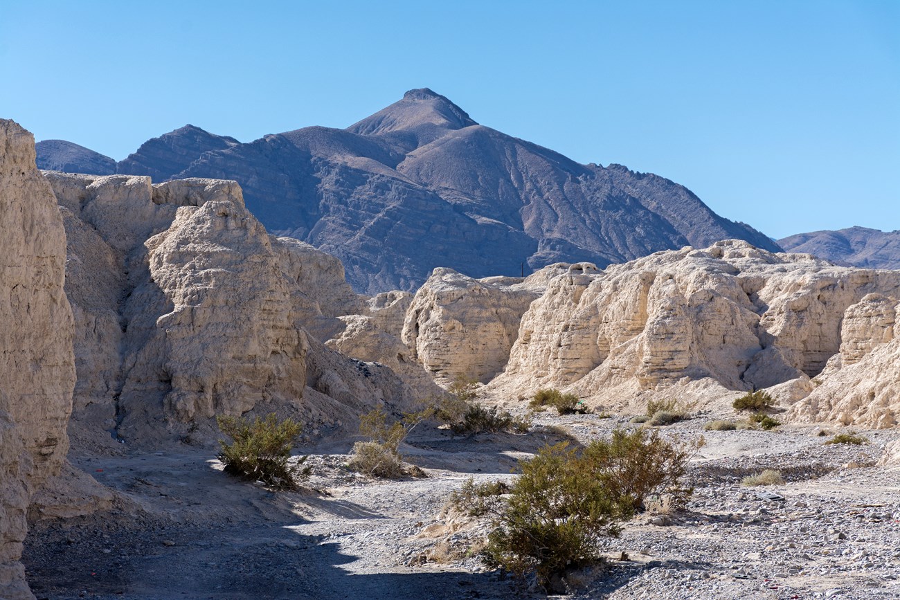 Tule Springs Fossil Beds National Monument