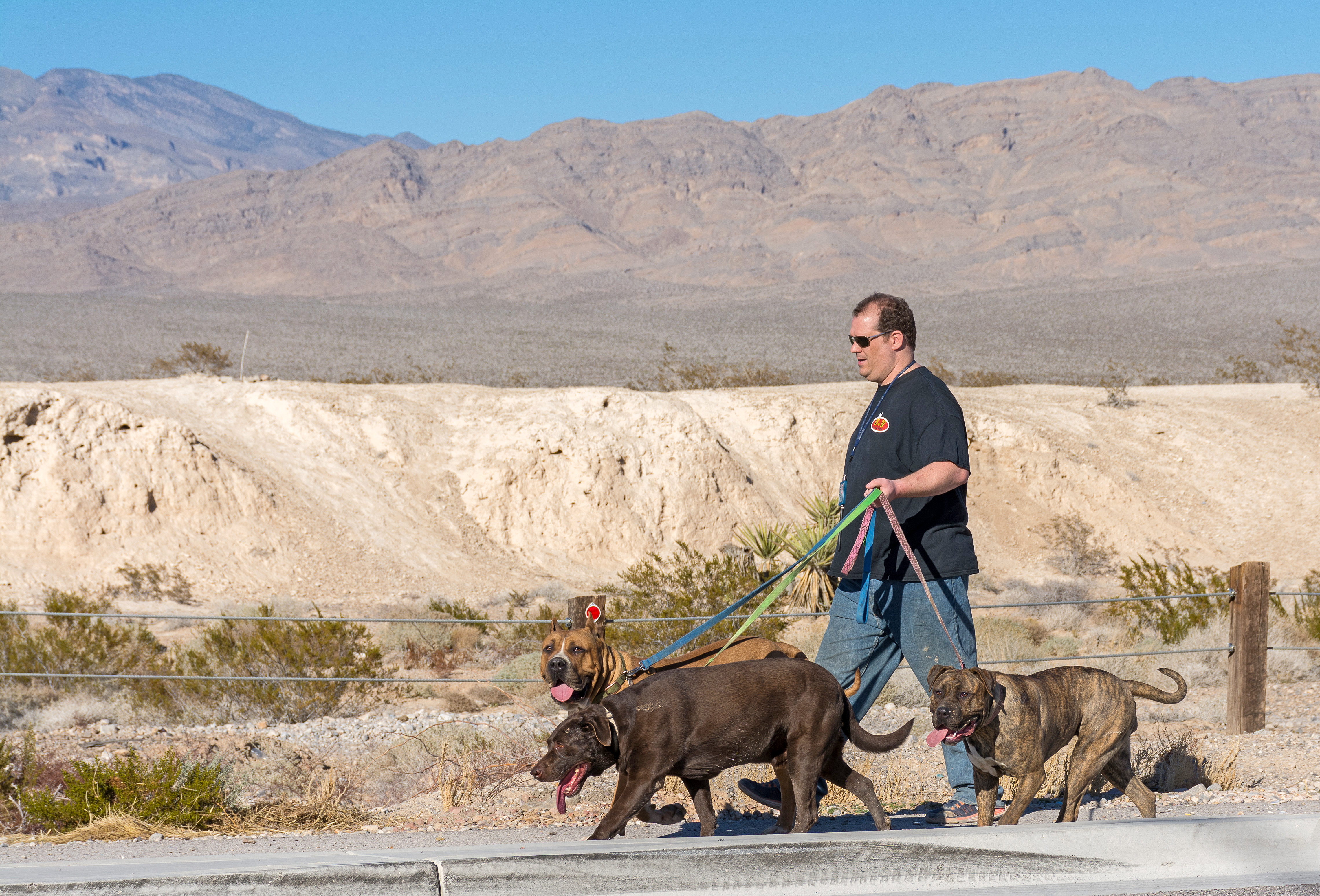 Pets at Tule Springs Fossil Beds National Monument Pets at Tule Springs Fossil Beds National Monument