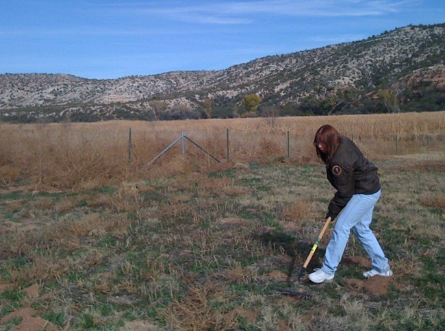 A local volunteer helps out our Natural Resources Division A local volunteer helps out our Natural Resources Division