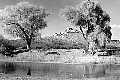Historical Photograph