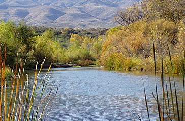 Verde River Greenway State Natural Area