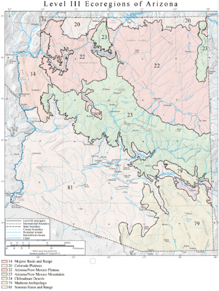 Map and key showing the 7 broad-scale biome divisions of Arizona