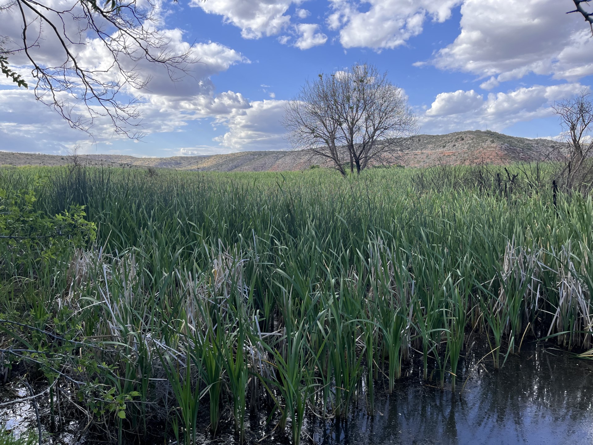 Marsh Photo Picture of TUZI Pueblo from Marsh