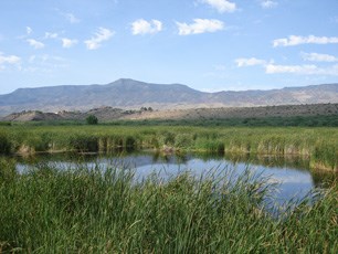 Tavasci Marsh Tavasci Marsh