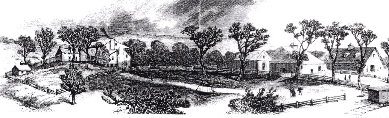 Black and white panoramic drawing of the White Haven estate, including the main house and several outbuildings.