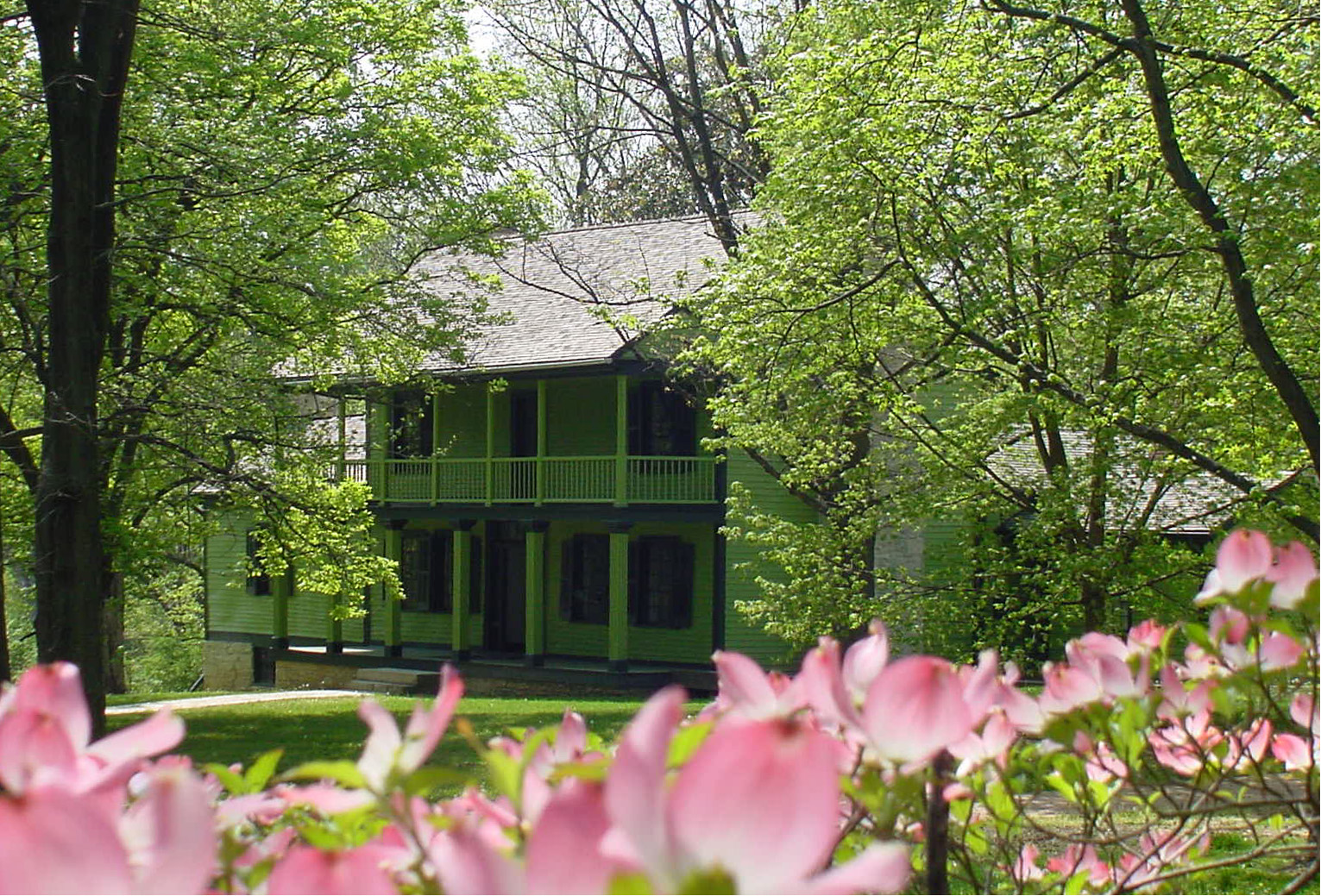 Pink Dogwood and White Haven Photo of a bright green two-story house with a pink blossoming dogwood tree in the foreground