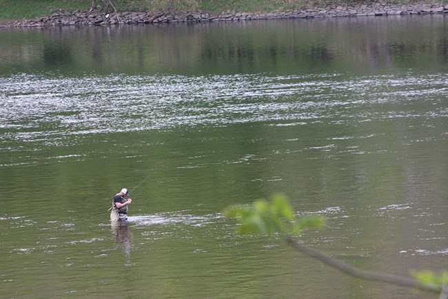 pescador en el rio