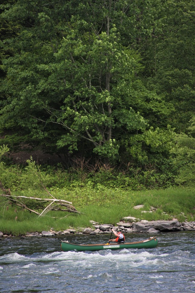 park ranger in canoe on the river. Some white rapids in the river.