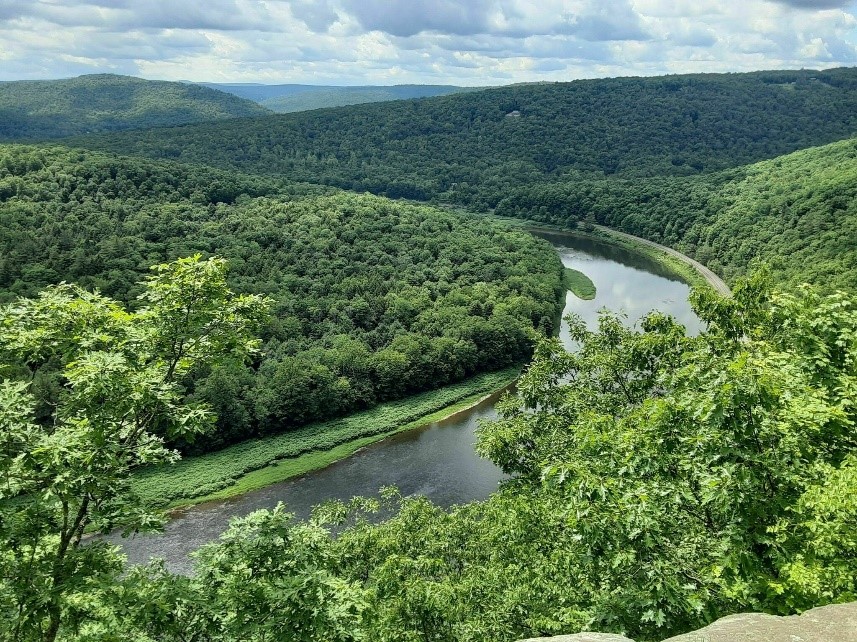 Looking out over green trees down to the Delaware River which winds its way down the valley.