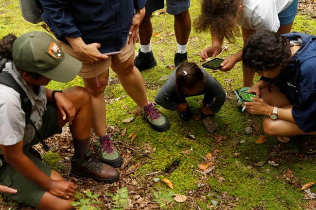 Ranger ranger crouches to ground with visitors as they all examine a creature on the mossy path
