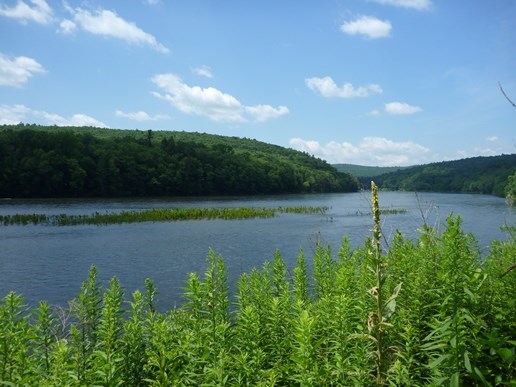 Upper Delaware River