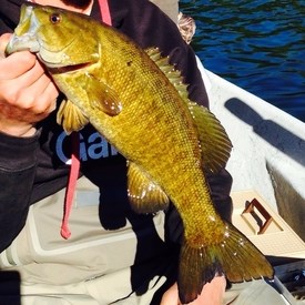 Smallmouth Bass in hands