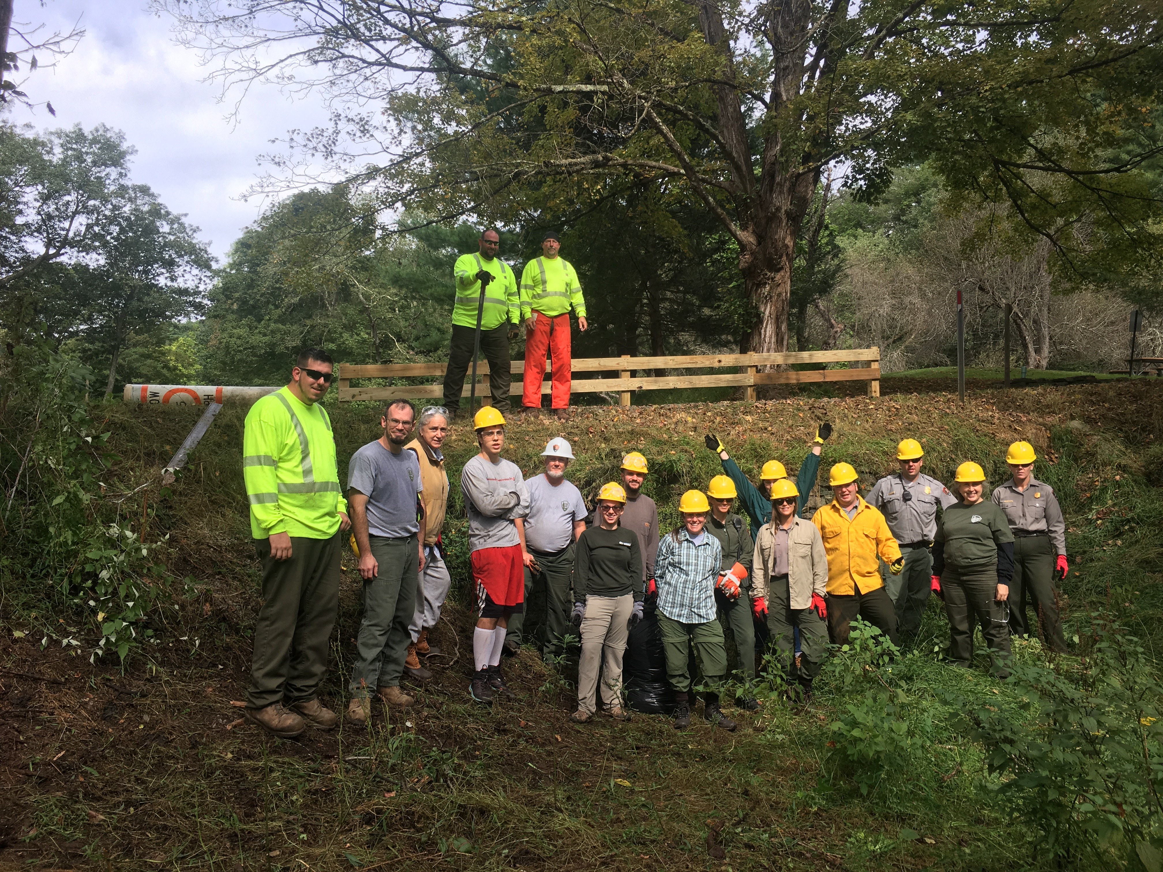Volunteers helping to remove invasive plants.