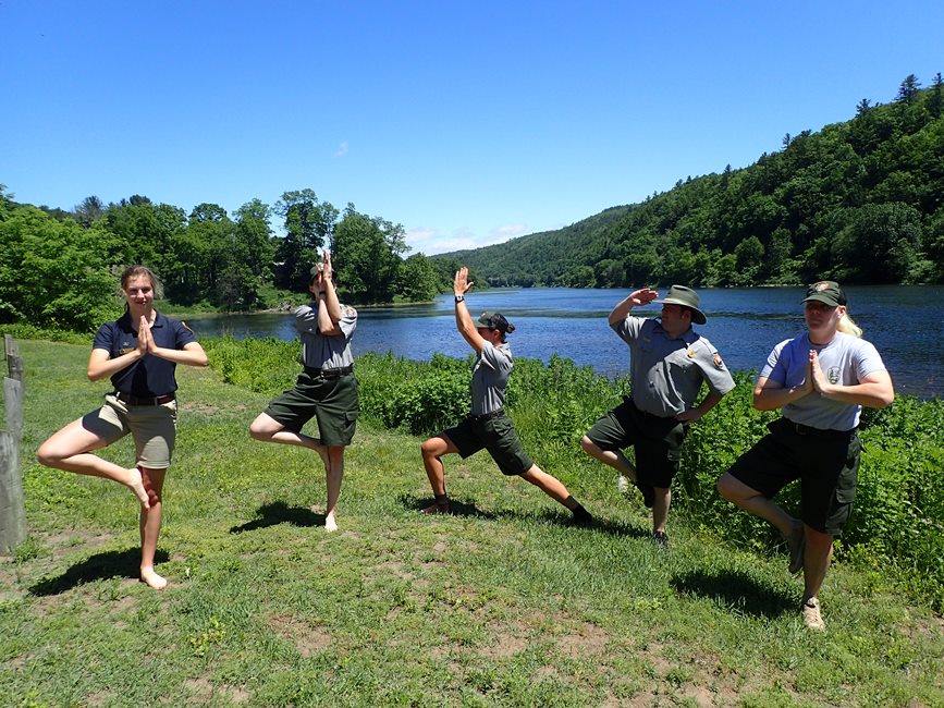 Park Rangers Doing Yoga