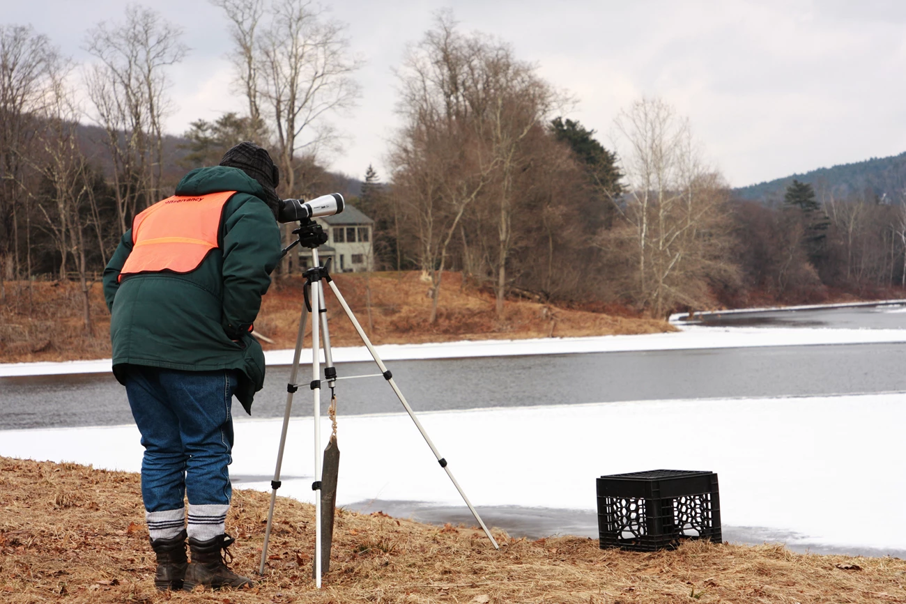 volunteer in orange vest looks through scope across river