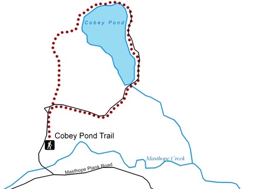 Cobey Pond Trail map
