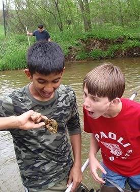 Two young volunteers with the Valley Forge Crayfish Corps inspect a crayfish they have caught for markings.