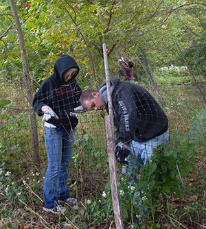 Two volunteers help install fencing.