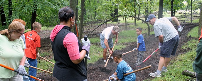 Volunteers spread mulch in a forest. Volunteers spread mulch in a forest.