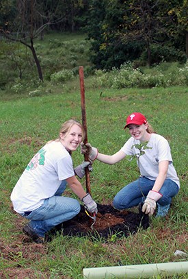 Two volunteers help plant a tree.