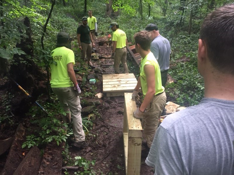 photograph, young people work to build a trail in the forest