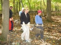 Volunteers in Parks