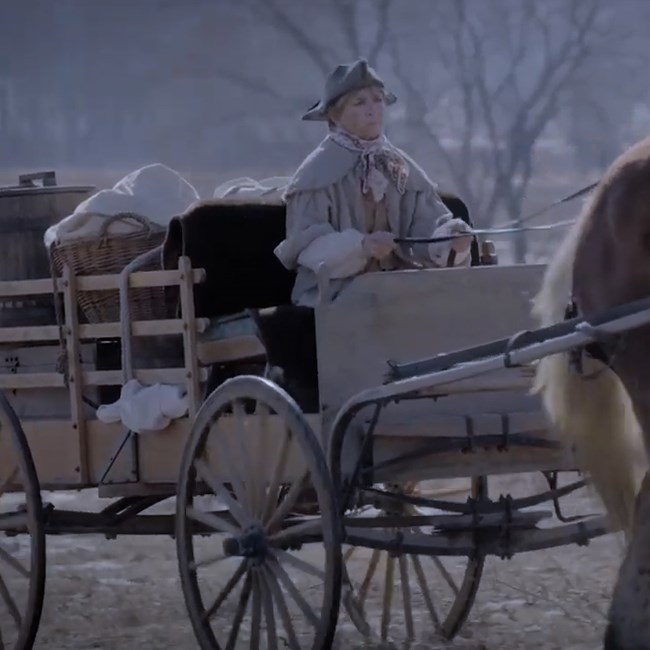 outdoors, wagon, barrel, horse, trees