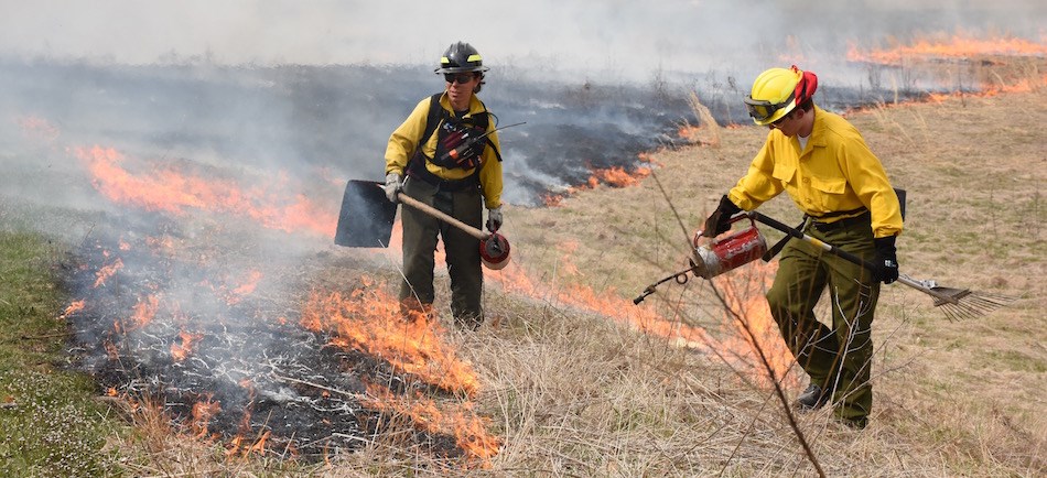 Wildland Firefighters conduct prescribed fire