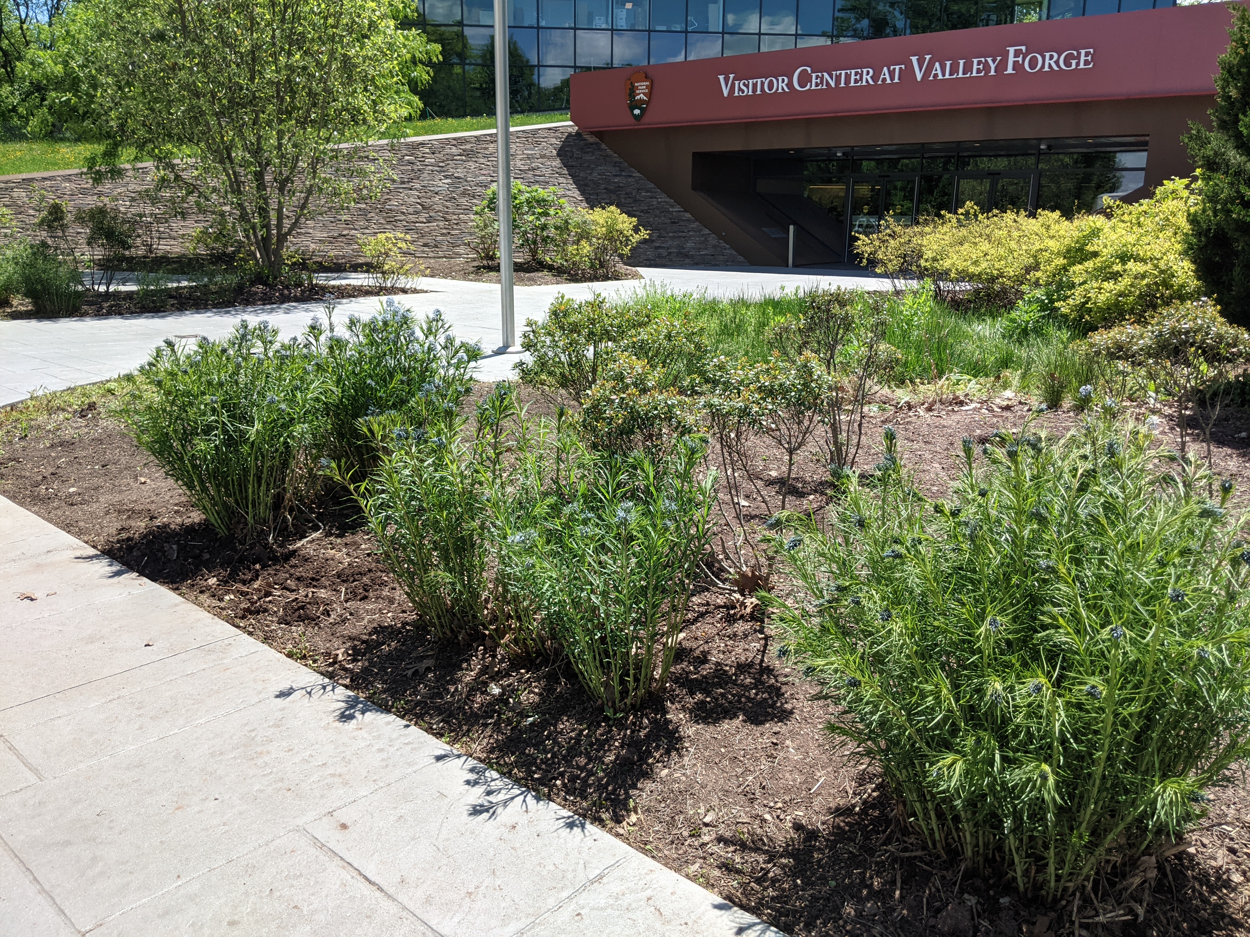 The newly renovated Visitor Center at Valley Forge. New exhibits projected to be installed this fall, 2021. outdoors, landscaping, paved path, building, sign reads Visitor Center at Valley Forge