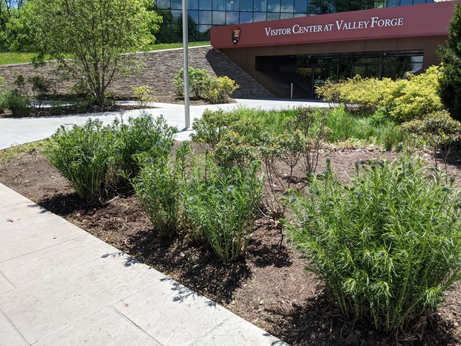 outdoors, landscaping, paved path, building, sign reads Visitor Center at Valley Forge