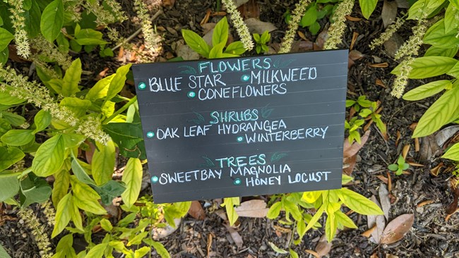 A small chalkboard sign lists the names of flowers, trees, and shrubs