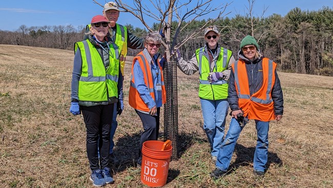 Five people stand next to a small tree