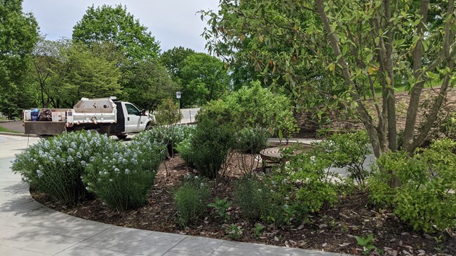 flowering plants and trees, a work vehicle, and a sidewalk