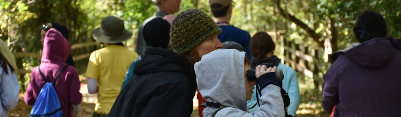 Two park visitors look for birds through binoculars.