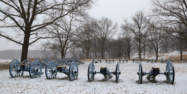 Three rows of cannons in the snow.