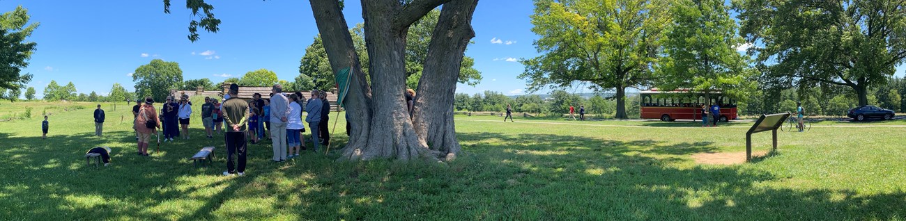 a group gathers under a tree to hear a talk near a row of log huts