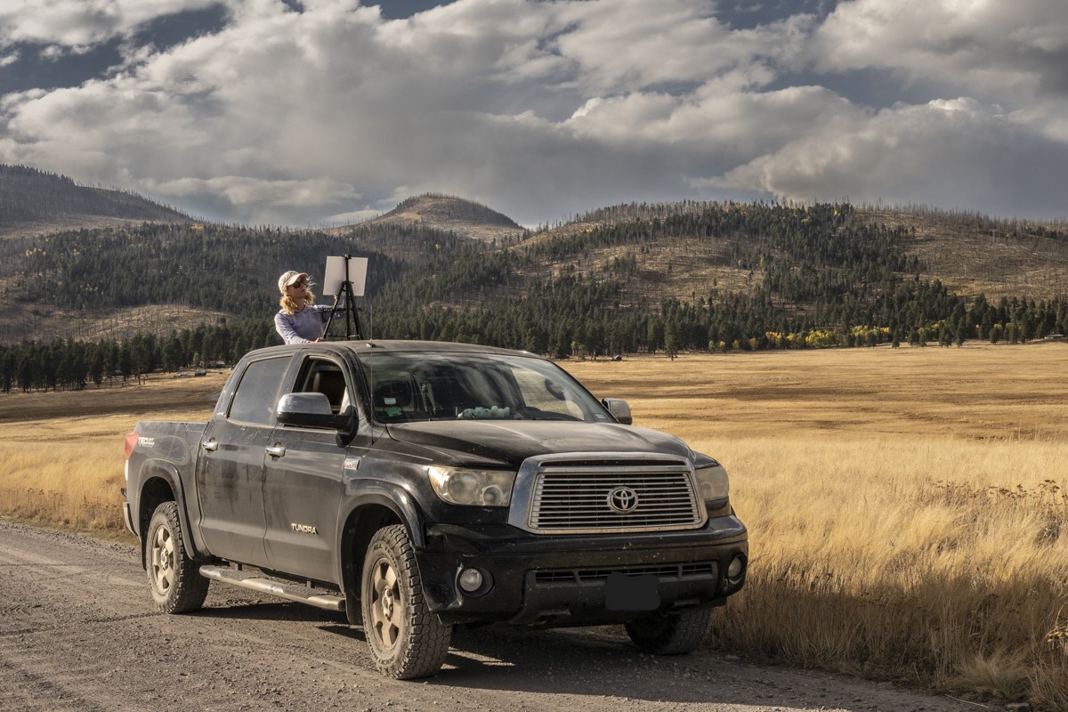 An artist stands with an easel and paintbrush in the bed of a black pickup truck in a montane grassland and paints a landscape painting